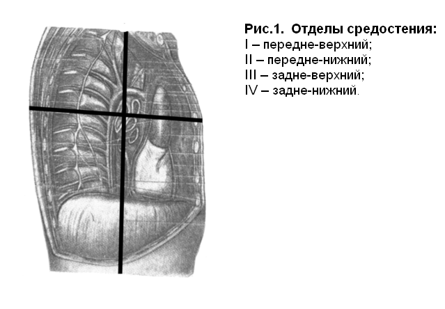 Реферат: Опухоли и кисты средостения